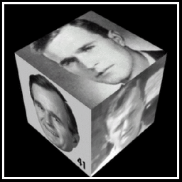Bush cubes 560